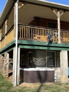 Heaven Can Wait - with hot tub! - Luray - 8