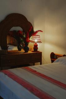 Mango Selva Bio Hotel - Actopan - 3