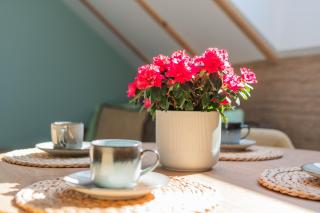 Apartamenty Dwie Sosny - Junoszyno - 5