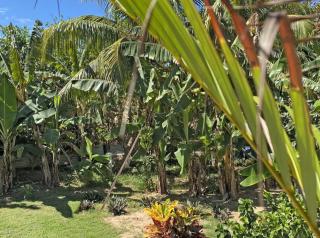Villa La Belle Capresse - Terre-de-Haut - 4
