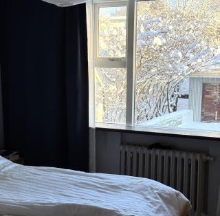 Cosy RVK apartment with great view of Laugardalur - Reykjavík - 8