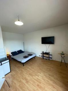 Geneva Residences Ferney-Voltaire - Ferney-Voltaire - 1