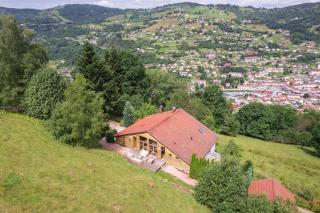 Aux Sources - 14 personnes - sauna & jacuzzi - La Bresse - 6