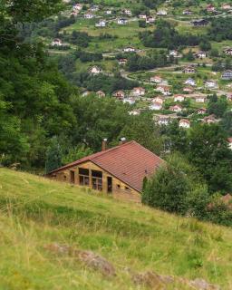 Aux Sources - 14 personnes - sauna & jacuzzi - La Bresse - 8