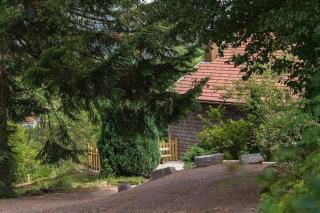 Aux Sources - 14 personnes - sauna & jacuzzi - La Bresse - 9