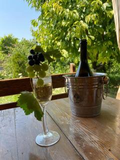 Yerevan Guesthouse B&B - Yerevan - 9