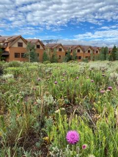 Antlers Gulch 501 by SummitCove Lodging - 1