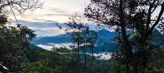 Robin's Paradise Deluxe Villa - Vagamon - 4