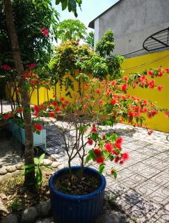 Long Homestay Mỹ Hạnh - Ðức Hòa - 6