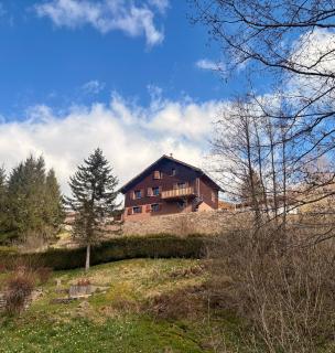 Chalet 14pers - jacuzzi&sauna - La Bresse - 3