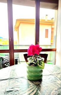 Russomanno Apartments - Spoleto - 8