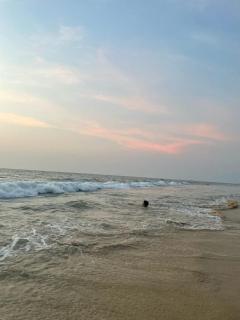 illa - By the sea - Udupi - 7