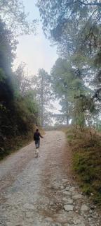 Tamanna Homestay - Darjeeling - 5