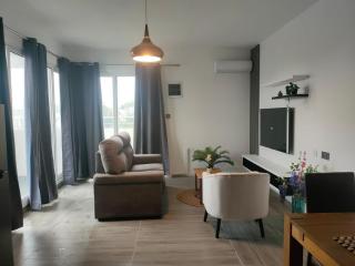 Penthouse Habitable Neuf - Rose Hill - 0