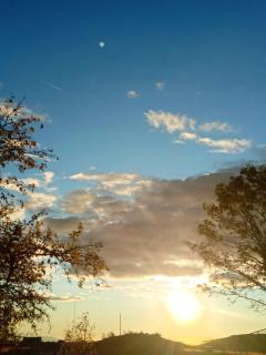 Akis AGIOI THEONTOROI - 3