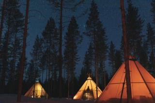 Reindeer Ranch - Tavelsjö - 0