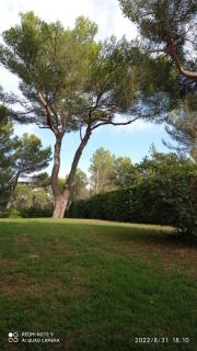studio Villeneuve-lès-Avignon terrasses sous les pins - Villeneuve-lès-Avignon - 8