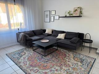 Helles APT Wiesbaden Mainz FFM - Ginsheim-Gustavsburg - 9