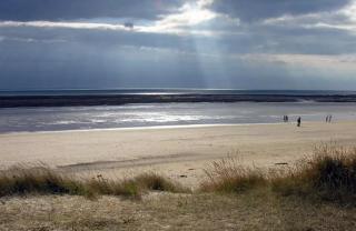 Détente à Portbail - Portbail - 8