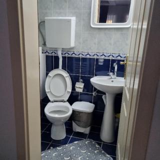 Studio Sestica vila Lenka2 - Vrnjačka Banja - 3