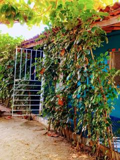 Casa de Praia Caminho das Indias - Coroa Vermelha - 5
