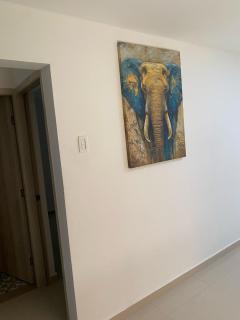 Confort juan - Barranquilla - 1