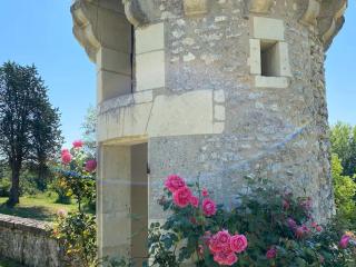 Charmant gîte en Berry avec terrasse et bain nordique - FR-1-591-730 - Saint-Cyran-du-Jambot - 3