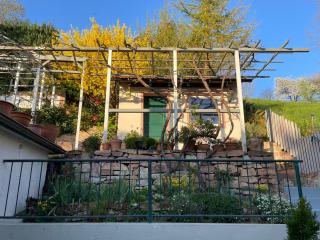 Am Berggarten - Heidelberg - 4