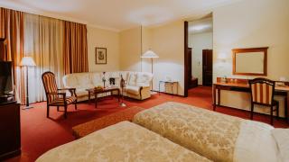 Boutique Hotel Maraton - Košice - 9