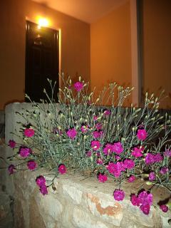 Guest House Solive - Himare - 3