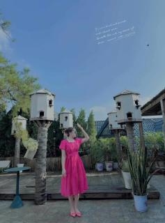 Green226-căn phòng săn mây - Tam Ðảo - 7