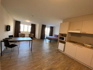 Motel & Aparthotel Brüggli - Emmen - 8