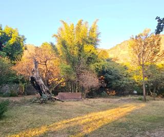 More - Tepoztlán - 7