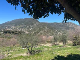 Cabanon entouré de montagnes et d'oliviers - 4