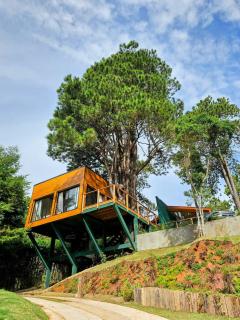 Casa da Árvore - ManTeQuiero - Campos do Jordão - 5