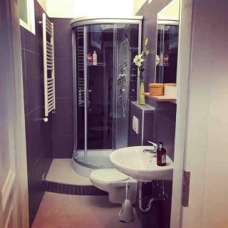 King bed free parking fast wifi pet friendly - Vienne - 7