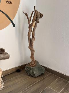 La Casita Naturaleza - Costa Calma - 3
