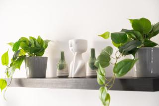 Luxe Marina View Retreat! 2BDRM - 5