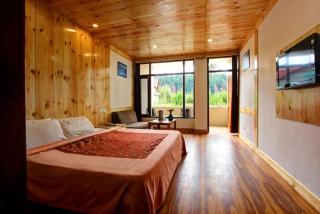 Hotel Premium Conifer Manali Near Hadimba Devi Temple - BEST HOTEL IN MANALI - 0
