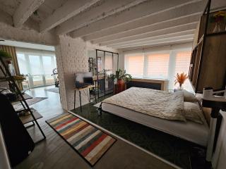 studio49apartments - Niš - 3