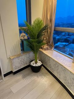 1BHK Apartment in Centaurus Mall - 4