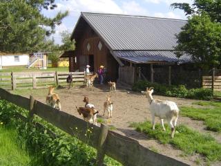 Hüttenwiesenhof Ketterer - Bräunlingen - 5