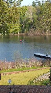 Lily Pad Cove - Lake Ann - 7