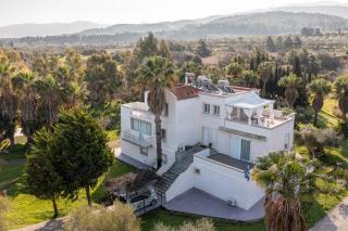 Platon Apartments - 3
