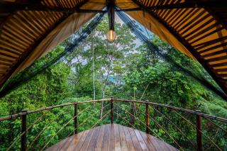 Jungle Gayborhood Hotel and Retreat Center - San Luis - 6