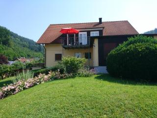Ferienwohnung Lahr im Schwarzwald ,120 qm, Pool 8x4m, nahe Europa Park Rust - Lahr - 0