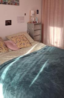 Charmant cosy T3 - Ajaccio - 2