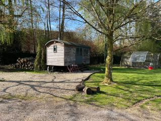 Luxury shepherd hut on rare breed smallholding - Bulford - 9