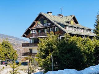 Megève 4-season apartment - Megève - 0