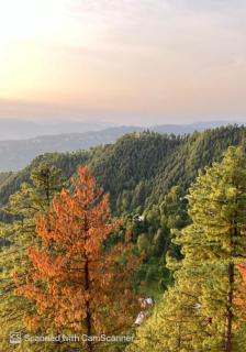 Peaceful Retreat,Serenity Hilltop Homes - Khaira Gali - 8